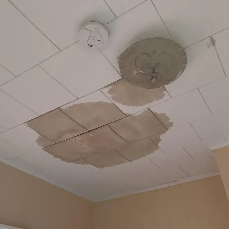 Ceiling Water Damage Repair in Taylor, TX