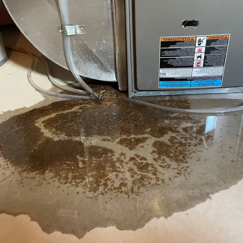 Pipe Burst and Leak Restoration in Taylor, TX